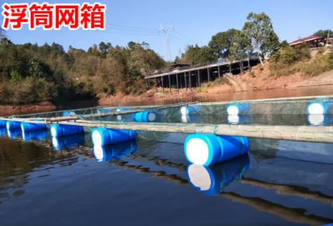 养殖黄鳝网箱