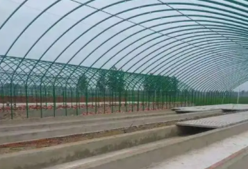 黄鳝工厂化养殖